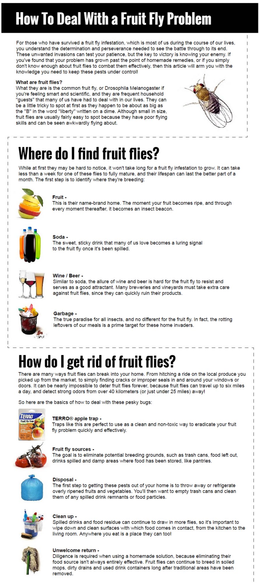 Ant Infographics Insect Infographics TERRO®