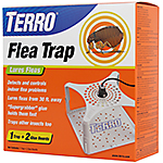 Flea trap