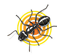 surviving ants