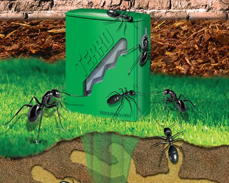 Terro Outdoor Liquid Ant Bait Stakes Protect Your Home